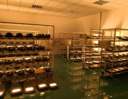 පැරණි පරීක්ෂණය