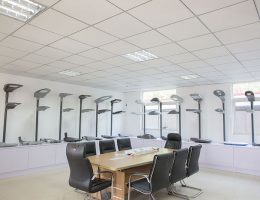 roon පෙන්වන්න